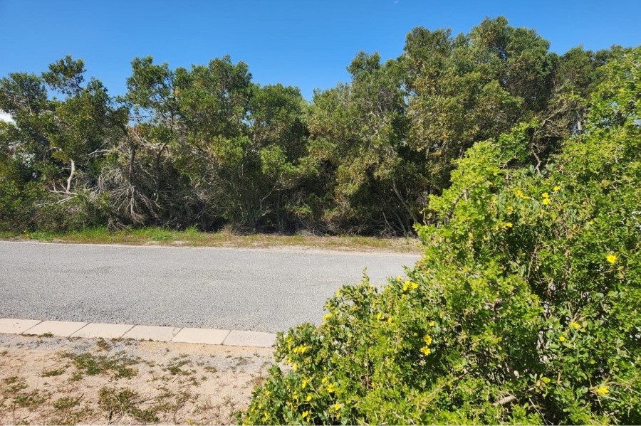 0 Bedroom Property for Sale in Shelley Point Western Cape
